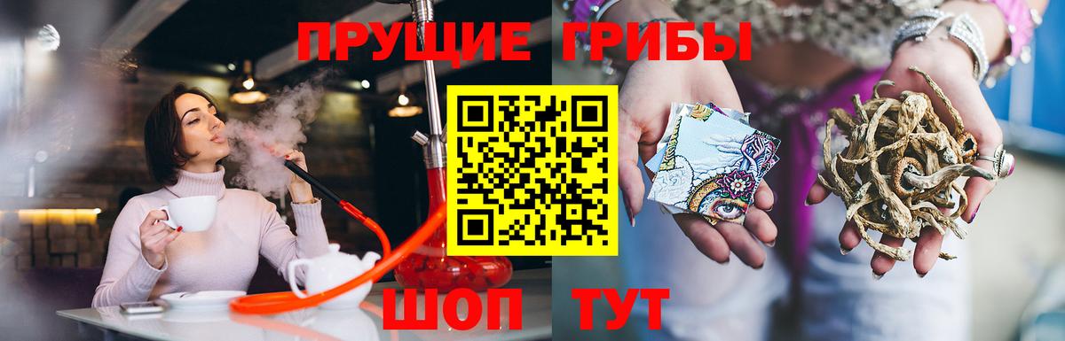 Галлюциногенные грибы MAGIC MUSHROOMS  Вход с VPN  Галлюциногенные грибы Psilocybine cubensis  Конаково 
